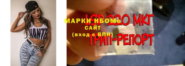 дмт Россошь