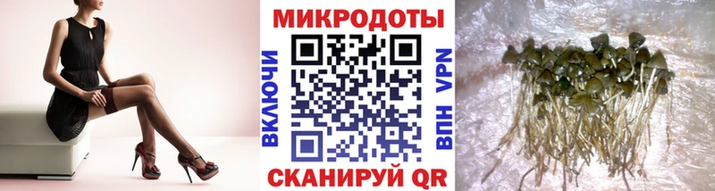 Галлюциногенные грибы ЛСД  Советский 